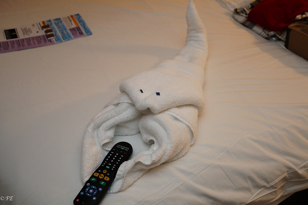 Allure of the Seas towel animal