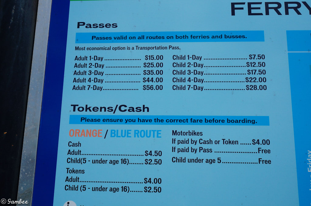 bermuda bus prices