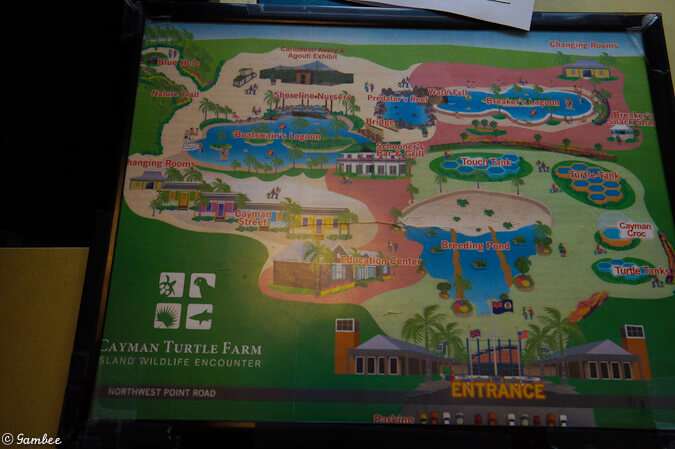 Turtle Farm Grand Cayman Map