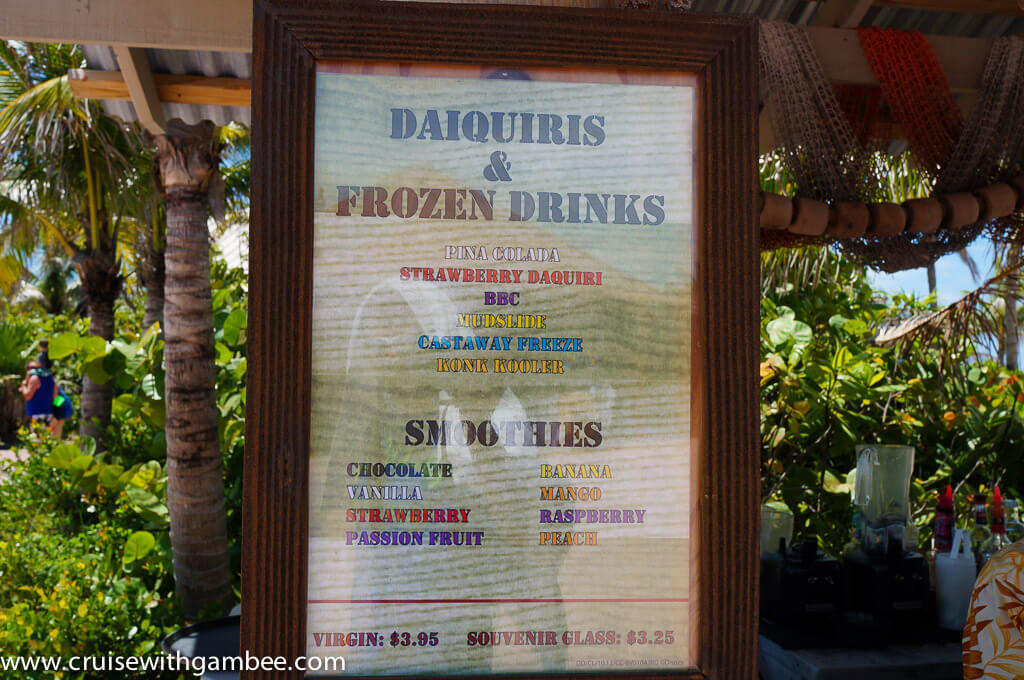 Disney Cruise drinks