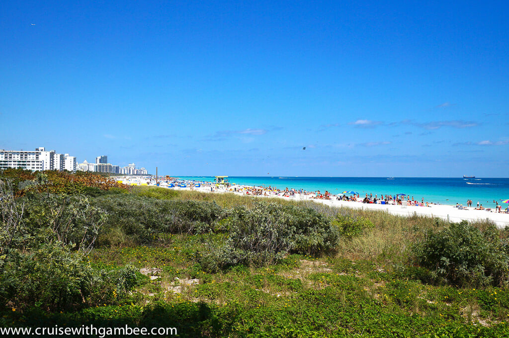 Things to do in Miami south beach